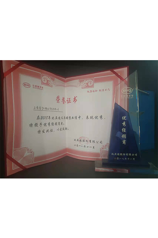 海安市比亚迪2018优秀经销商